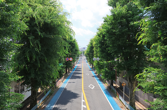 BIARE北浦和 自然8