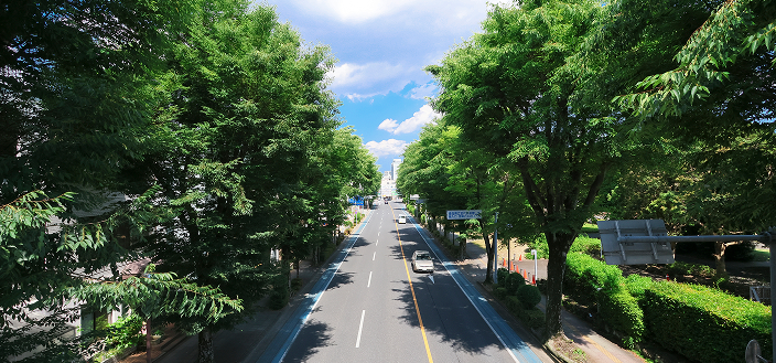 BIARE北浦和 サブビジュアルロケーション