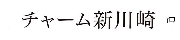 チャーム新川崎